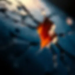 Images of Fracture: An In-Depth Exploration Introduction