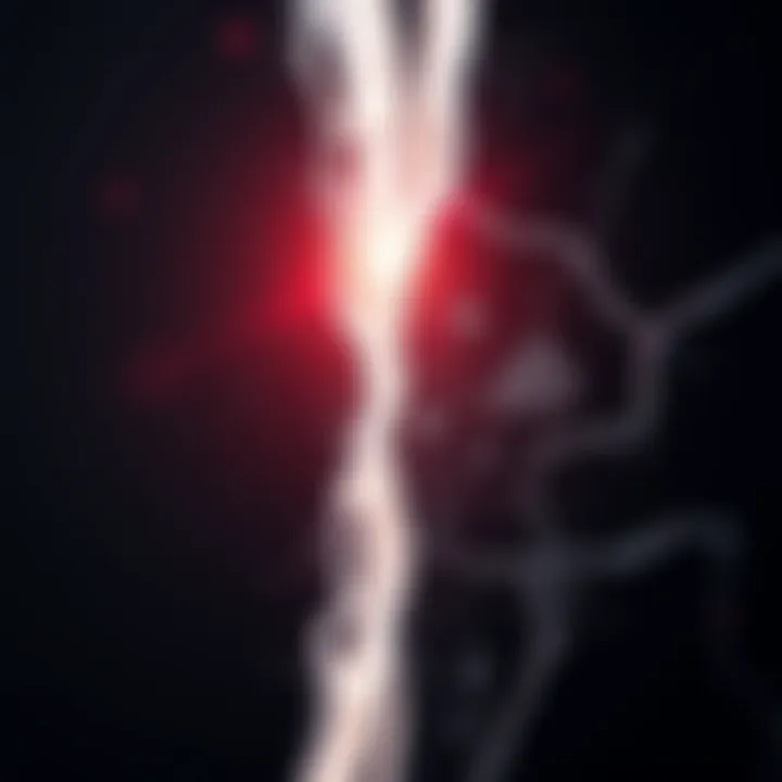Images of Fracture: An In-Depth Exploration Summary