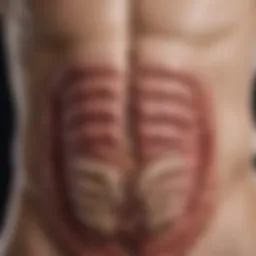 Clinical representation of intestinal infection manifestations