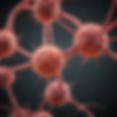 Diagram showing the relationship between chronic inflammation and cancer types.