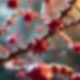 Genetic illustration depicting colon cancer mutations