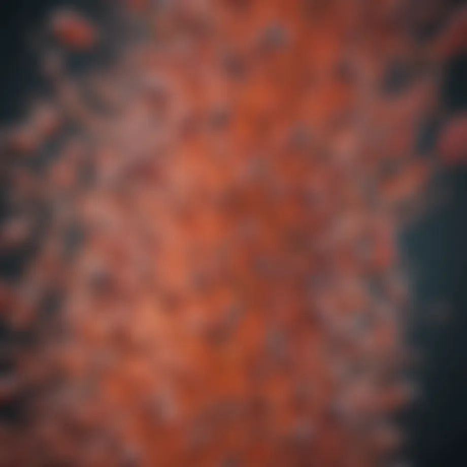 Genomic structure of Lactobacillus delbrueckii