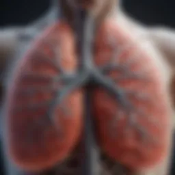 Illustration of lung structure and capacity