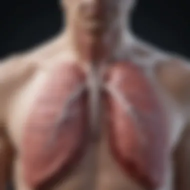 Lung Transplantation Overview Diagram illustrating the lung transplantation procedure