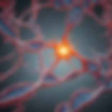 Diagram depicting biological pathways affected by metformin in cancer metabolism