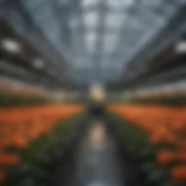 An advanced greenhouse equipped with modern technology for flower cultivation.