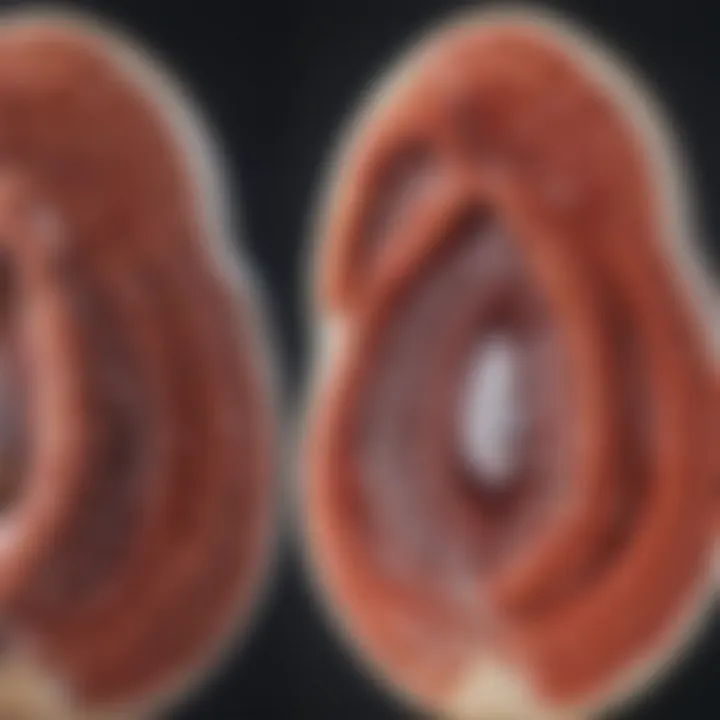 Comparison of MRI with other imaging modalities