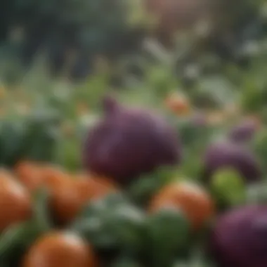 Close-up of organic nitrate-rich vegetables in a garden