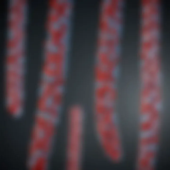 The impact of nucleic acid type on viral behavior