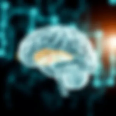 Diagram illustrating the pathophysiology of white matter disease