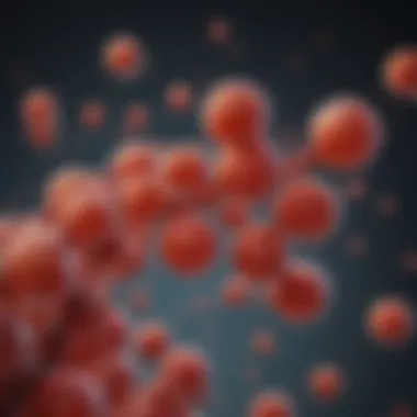 Graphical representation of polyarginine interactions with cellular membranes