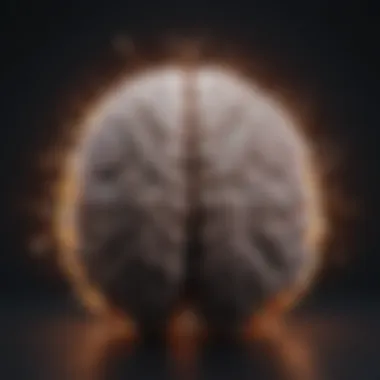 Brain Regions Linked to Memory and Learning Brain regions associated with memory and learning