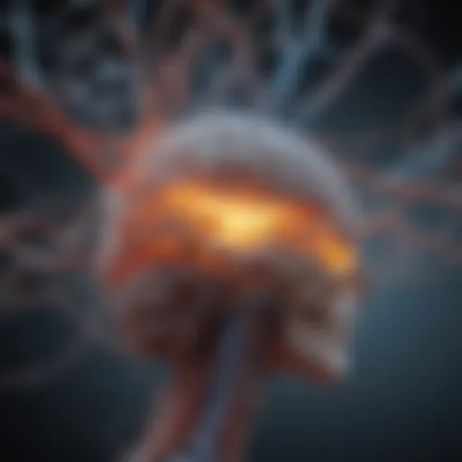 Neural pathways illustrating cognitive processes