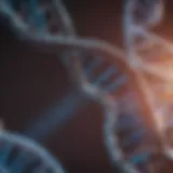 A close-up view of a DNA double helix structure showcasing genetic research.