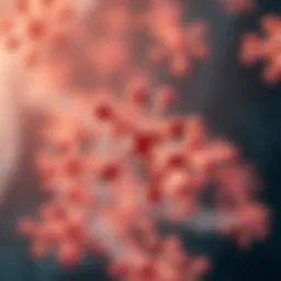 Molecular structure of recombinant interleukin four