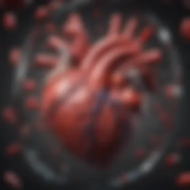 Graphical representation of heart failure mechanisms due to amyloidosis