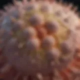 Visual representation of lymphatic spread in squamous cell carcinoma