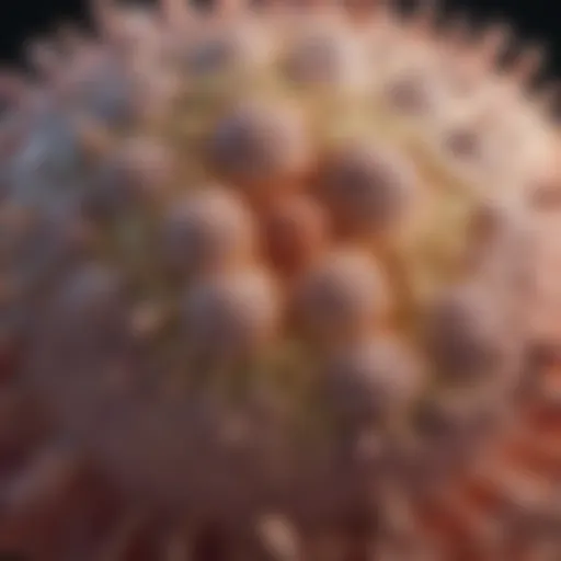 Visual representation of lymphatic spread in squamous cell carcinoma