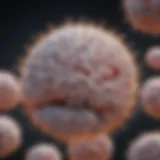 Illustration depicting the amyloid-beta plaque formation in the brain