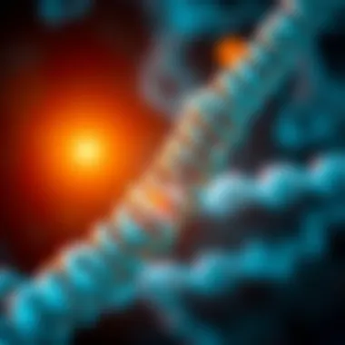 Graphical depiction of environmental factors affecting gene expression.