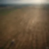 Aerial view of agricultural fields affected by climate change