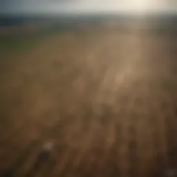 Aerial view of agricultural fields affected by climate change