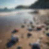 A polluted beach with plastic debris