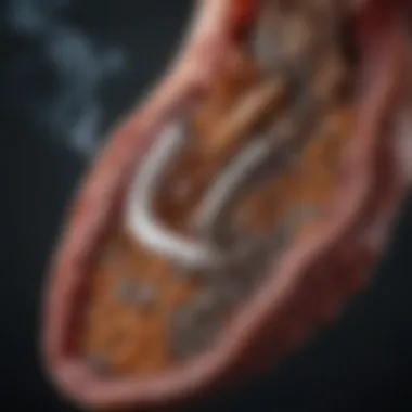 Cellular Effects of Smoking An illustration showing the cellular effects of smoking on lung tissue
