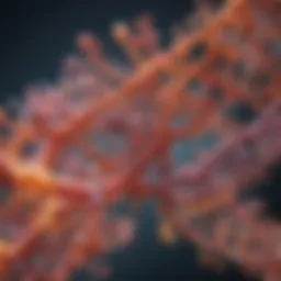 Representation of mRNA structure and function