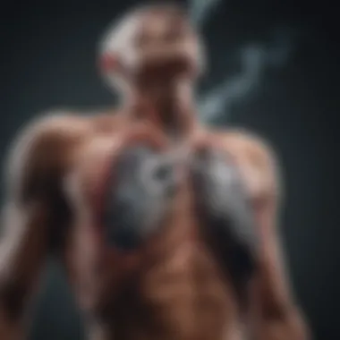 Lung Damage from Smoking Visual representation of lung damage due to smoking