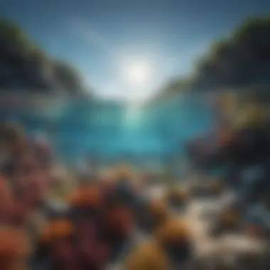 Thriving Ocean Ecosystem Healthy ocean ecosystem with diverse species