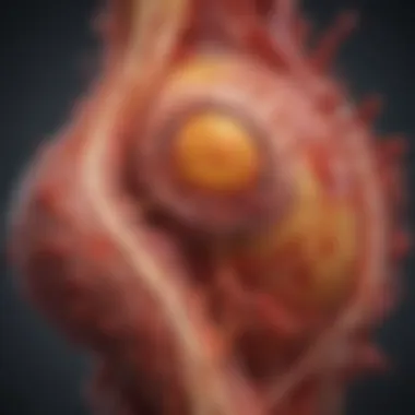 Detailed illustration of the stages of inflammation highlighting cellular responses