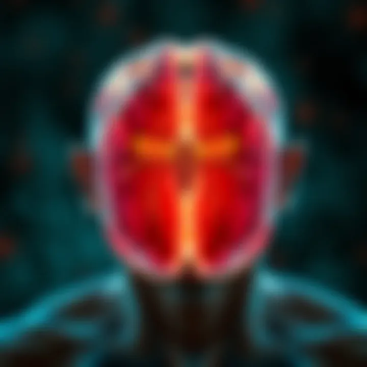 Diagnostic Challenges of Lyme Disease Infographic depicting diagnostic challenges in Lyme disease