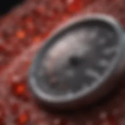 Overview of stress hormones and their impact on blood sugar levels