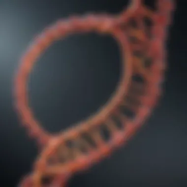 Structure of guide RNA in genetic engineering Illustration of guide RNA structure