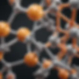 Chemical structure of levodopa and carbidopa
