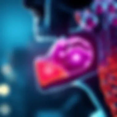 Diagram illustrating airway dynamics influenced by the mandible