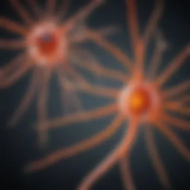 Vitamin A Signaling Pathways in Cancer Vitamin A signaling pathways