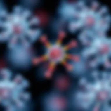 Diagram of therapeutic applications of recombinant IL-4
