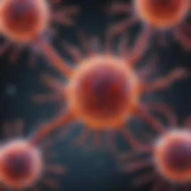 Apoptosis Cell Signaling Pathways Visual representation of apoptosis cell signaling pathways