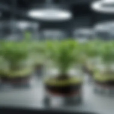 Applications of Tissue Culture in Agriculture An illustration highlighting the applications of tissue culture in agriculture.