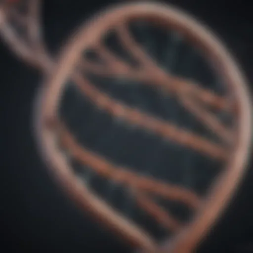 Illustration of the DNA double helix structure