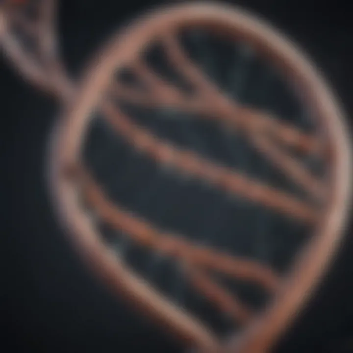 Illustration of the DNA double helix structure
