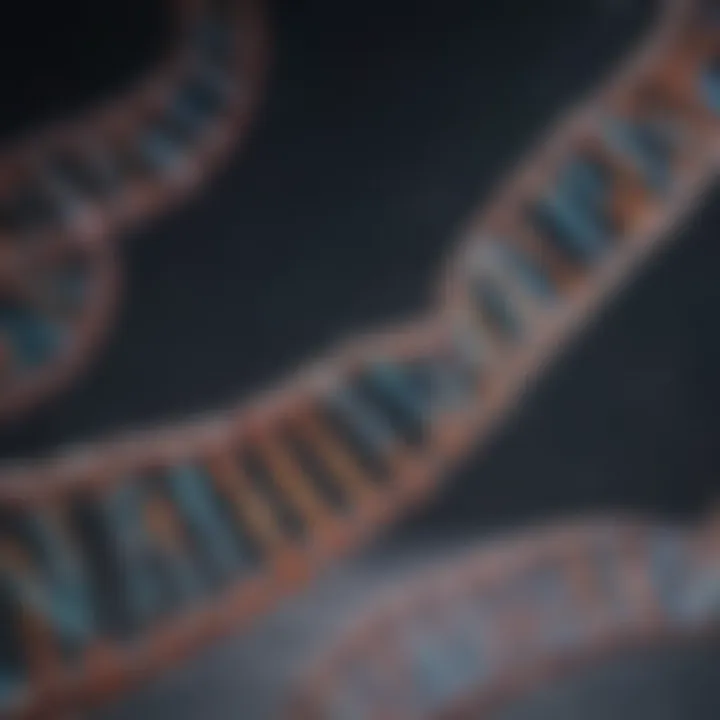 Diagram showing RNA being synthesized from DNA