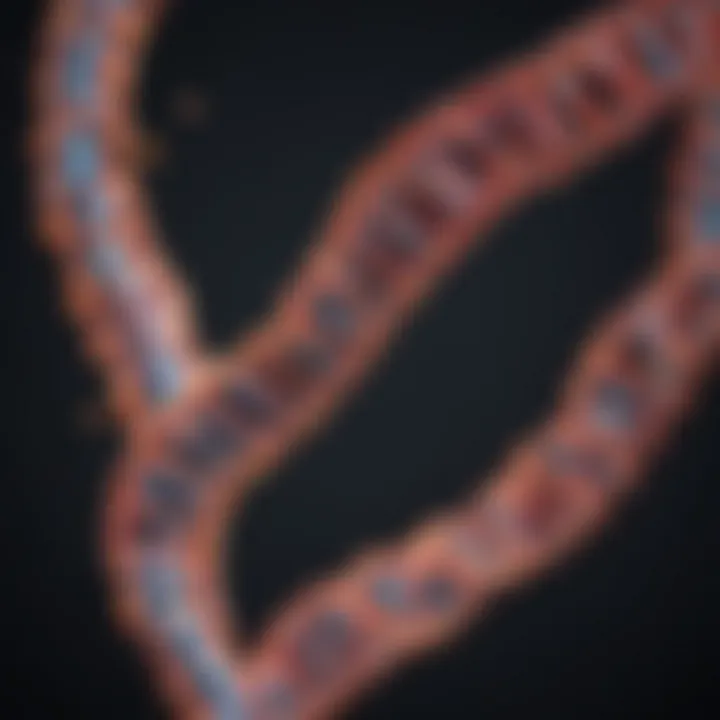 Graph illustrating the significance of transcription in gene expression