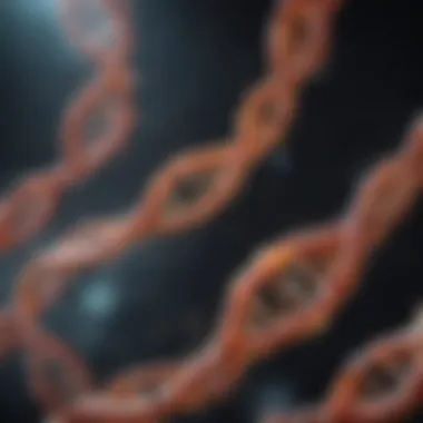 Types of RNA Visual representation of different types of RNA