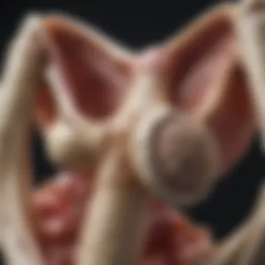 Visual representation of treatment advancements for bone cancer