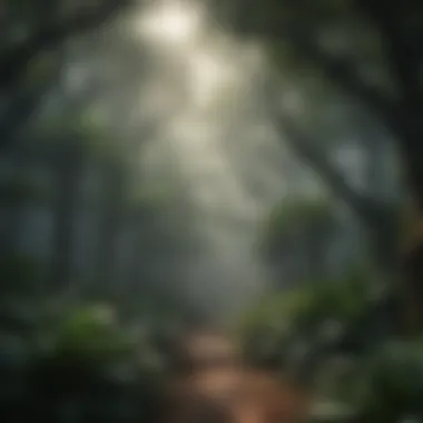 Tropical rainforest canopy illustrating humidity levels