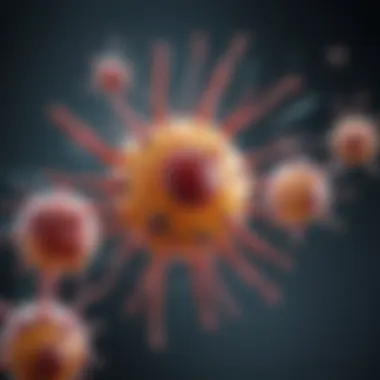 Antibodies in Action: The Immune Response Graphic showing the role of antibodies in the immune response.