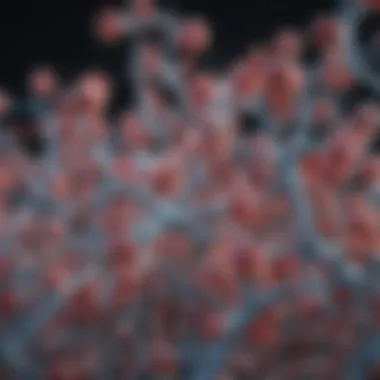 Medical Applications of Antibodies: Diagnostics and Therapeutics Visual representation of antibody applications in medicine.